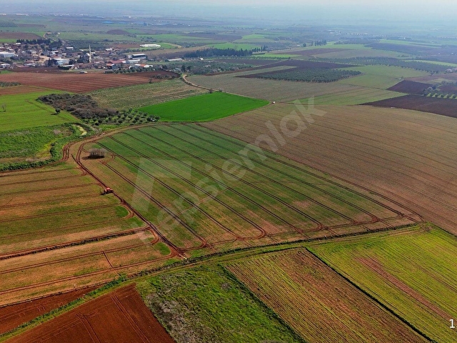 BURSA KARACABEY ARIZ MAHALLESİNDE 17.400 M² VERİMLİ SATILIK TARLA - Görsel 13