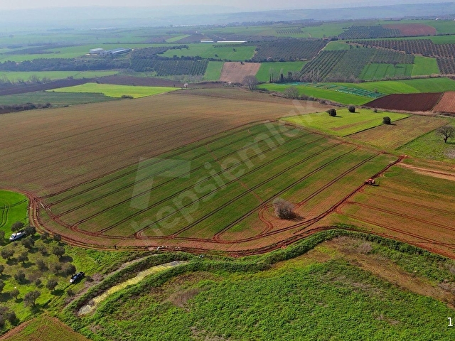 BURSA KARACABEY ARIZ MAHALLESİNDE 17.400 M² VERİMLİ SATILIK TARLA - Görsel 6
