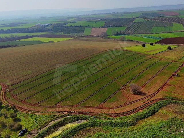 BURSA KARACABEY ARIZ MAHALLESİNDE 17.400 M² VERİMLİ SATILIK TARLA - Görsel 14