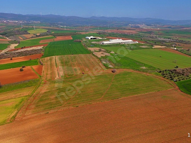 BURSA KARACABEY ARIZ MAHALLESİNDE 17.400 M² VERİMLİ SATILIK TARLA - Görsel 10