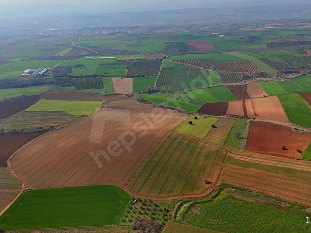 BURSA KARACABEY ARIZ MAHALLESİNDE 17.400 M² VERİMLİ SATILIK TARLA - Görsel 28
