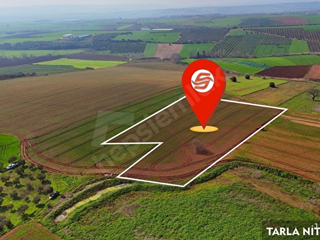 BURSA KARACABEY ARIZ MAHALLESİNDE 17.400 M² VERİMLİ SATILIK TARLA - Görsel 7