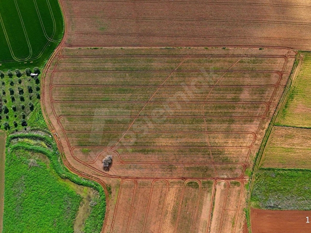 BURSA KARACABEY ARIZ MAHALLESİNDE 17.400 M² VERİMLİ SATILIK TARLA - Görsel 17