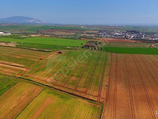 BURSA KARACABEY ARIZ MAHALLESİNDE 17.400 M² VERİMLİ SATILIK TARLA - Görsel 11