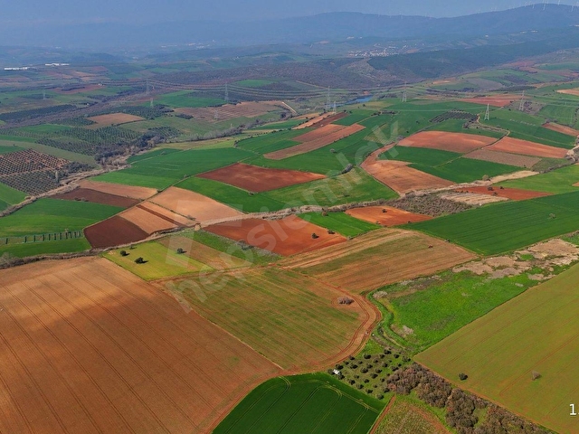 BURSA KARACABEY ARIZ MAHALLESİNDE 17.400 M² VERİMLİ SATILIK TARLA - Görsel 30