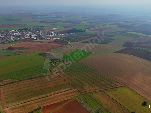 BURSA KARACABEY ARIZ MAHALLESİNDE 17.400 M² VERİMLİ SATILIK TARLA - Görsel 3