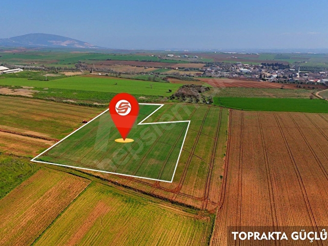 BURSA KARACABEY ARIZ MAHALLESİNDE 17.400 M² VERİMLİ SATILIK TARLA - Görsel 12