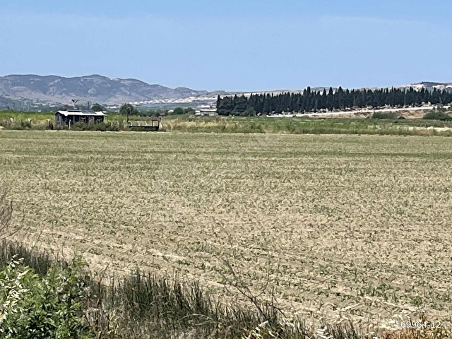 FOÇA İZMİR YOLUNA SIFIR 520 METRE SÜPER KONUMDA - Görsel 11