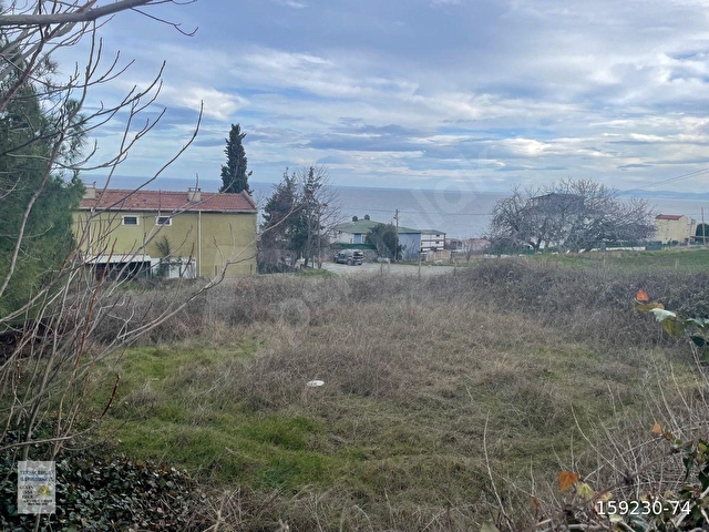 TEKİRDAĞ BARBAROSTA FULL DENİZ MANZARALI  SATILIK KÖŞE ARSA