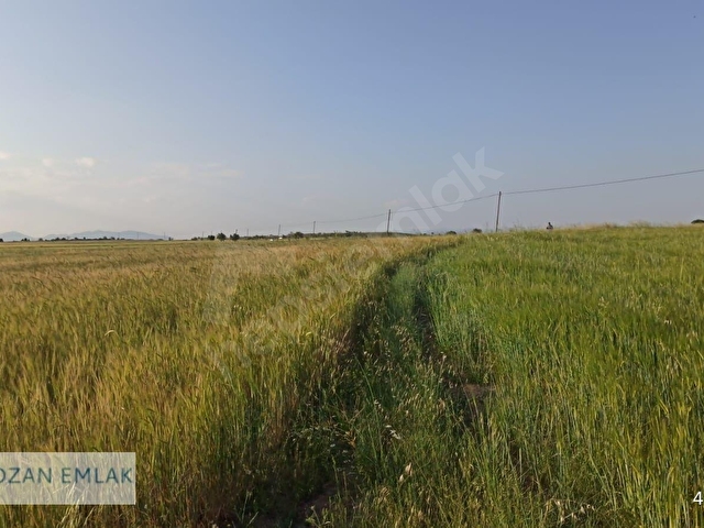 UŞAK-DENİZLİ YOLU ÜZERİ AKARCADA  OZAN DAN SATILIK TARLA - Görsel 21