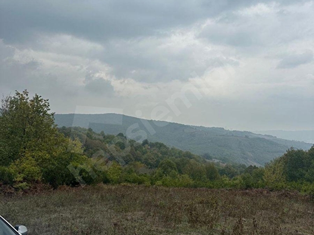 KOCAELI IZMIT 26 DÖNÜM SATILIK BÜYÜK PARSEL TURIZM VE TRACKING - Görsel 9