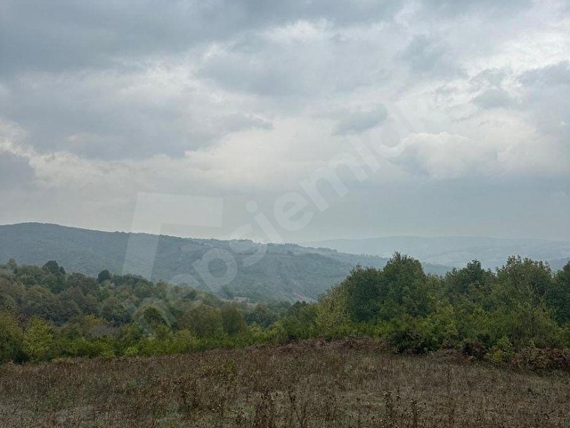 KOCAELI IZMIT 26 DÖNÜM SATILIK BÜYÜK PARSEL TURIZM VE TRACKING - Görsel 11
