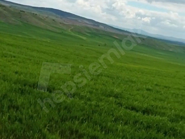 YOLA SIFIR 3580 m² EYMİR BELEDIYESINE 200 MT - Görsel 2