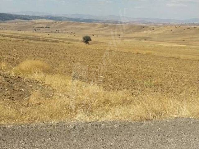 YOLA SIFIR 3580 m² EYMİR BELEDIYESINE 200 MT - Görsel 14