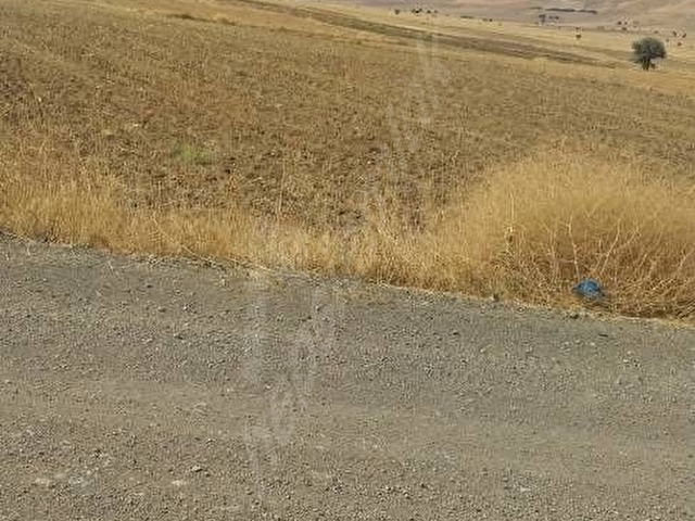YOLA SIFIR 3580 m² EYMİR BELEDIYESINE 200 MT - Görsel 11