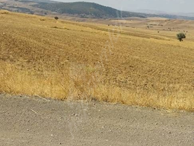 YOLA SIFIR 3580 m² EYMİR BELEDIYESINE 200 MT - Görsel 13