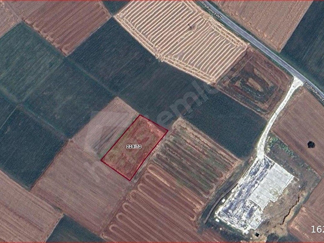 kırklareli pnarhisar cevizköyde 4385m2 satılık tarla - Görsel 5