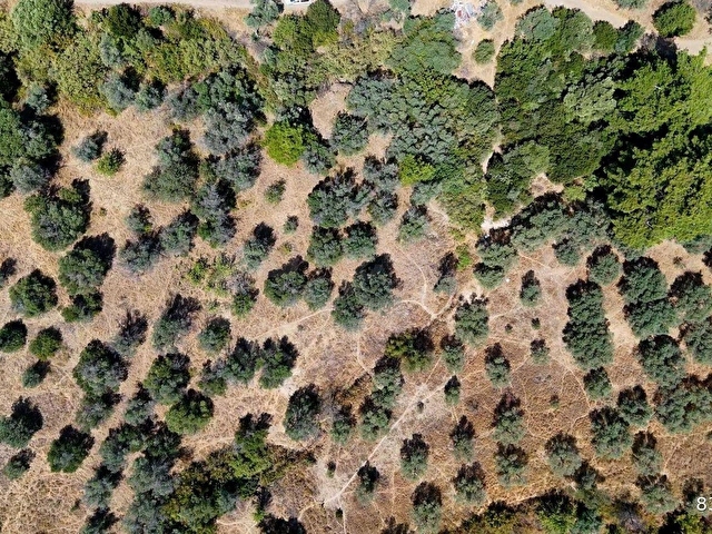 Kemalpaşa Çiniliköy Satılık 3.002 m2 Villa İmarlı Arsa - Görsel 17