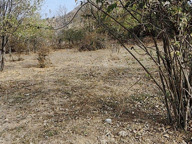 SOĞUCAK BAĞLARINDA İMARA AÇIK YOL KENARI ARSA - Görsel 16