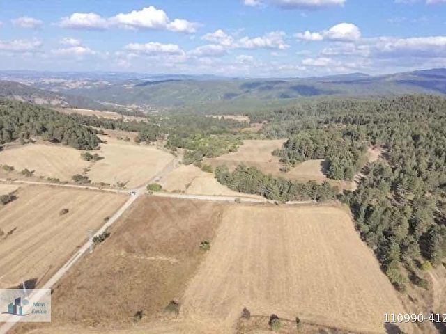 KASTAMONU EN GÜZEL FİYAT BALLIK SATILIK TARLA 8.376M2 2.375.000 - Görsel 10