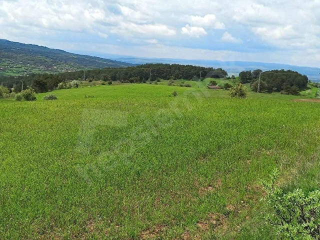 KASTAMONU EN GÜZEL FİYAT BALLIK SATILIK TARLA 8.376M2 2.375.000 - Görsel 18