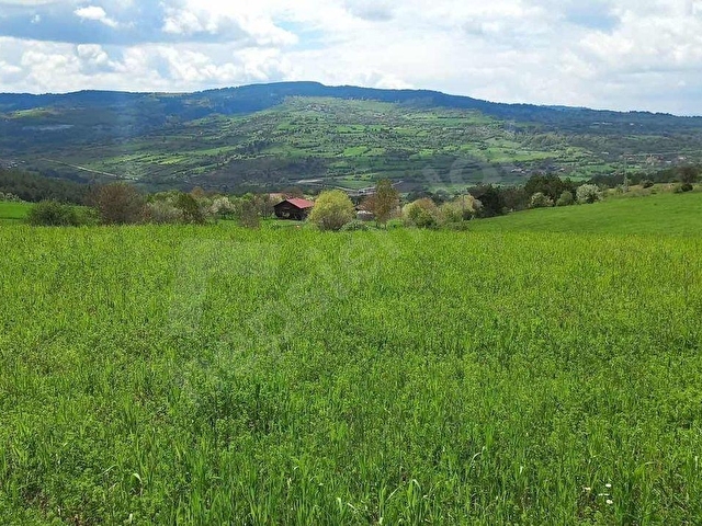 KASTAMONU EN GÜZEL FİYAT BALLIK SATILIK TARLA 8.376M2 2.375.000 - Görsel 15