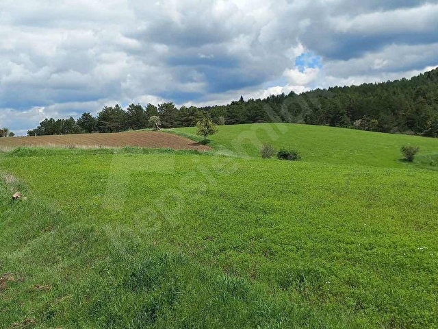 KASTAMONU EN GÜZEL FİYAT BALLIK SATILIK TARLA 8.376M2 2.375.000 - Görsel 20