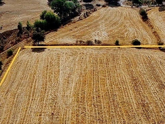 KASTAMONU EN GÜZEL FİYAT BALLIK SATILIK TARLA 8.376M2 2.375.000 - Görsel 11