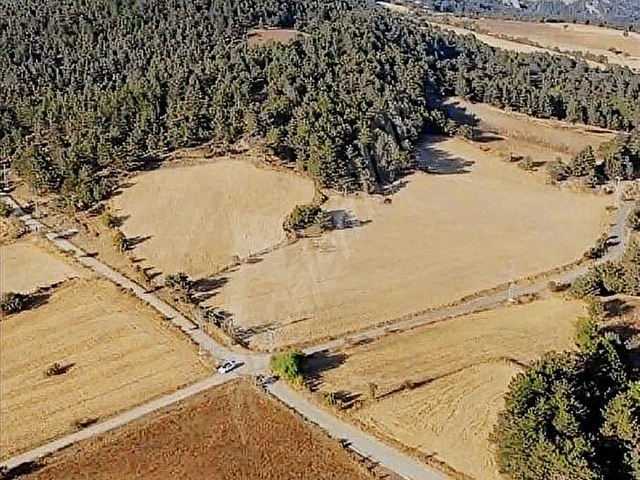 KASTAMONU EN GÜZEL FİYAT BALLIK SATILIK TARLA 8.376M2 2.375.000 - Görsel 13
