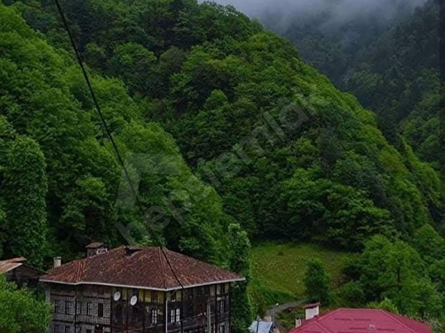 GÖRELEDE KÖY YERLEŞİK ALAN İÇİNDE RESMİ YOLU OLAN FINDIK BAHÇESİ - Görsel 2