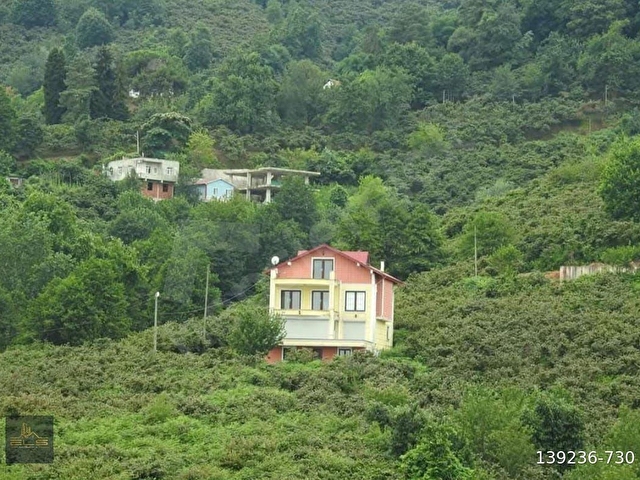 GÖRELEDE KÖY YERLEŞİK ALAN İÇİNDE RESMİ YOLU OLAN FINDIK BAHÇESİ - Görsel 5