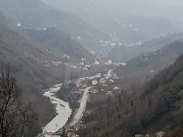 GÖRELEDE KÖY YERLEŞİK ALAN İÇİNDE RESMİ YOLU OLAN FINDIK BAHÇESİ - Görsel 3