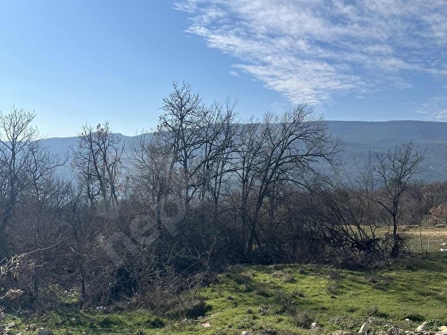 YAZIKÖY SATILIK BAĞ - BAHÇE 1.020M2 - Görsel 24