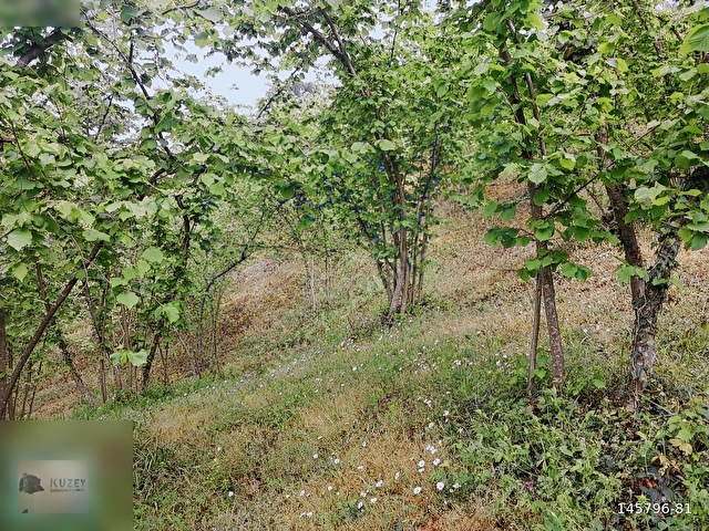 KOCAALİ KOZLUK KÖYÜ İÇİNDE SATILIK 1758 M2 İMARLI ARSA - Görsel 22
