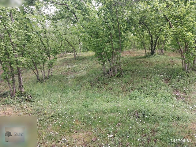 KOCAALİ KOZLUK KÖYÜ İÇİNDE SATILIK 1758 M2 İMARLI ARSA - Görsel 20