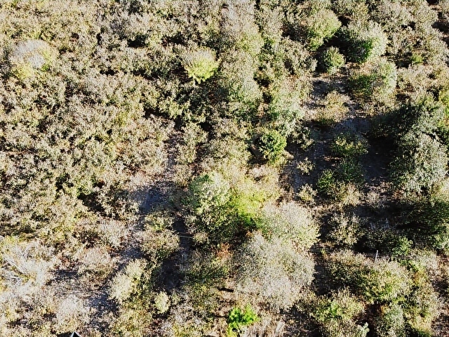 İSAKÖY ANA YOLA 2,PARSEL DAİRE TAKASLI 572 M2 DÜZ FINDIK BAHÇESİ - Görsel 11
