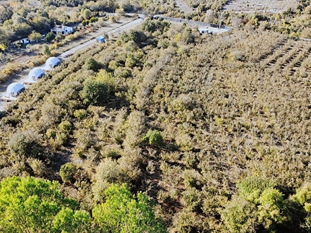 İSAKÖY ANA YOLA 2,PARSEL DAİRE TAKASLI 572 M2 DÜZ FINDIK BAHÇESİ - Görsel 8