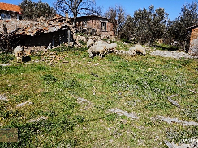 ÇANAKKALE BAYRAMİÇ YİĞİTLER KÖYÜ 249 m2 İMARLI ARSA - Görsel 26