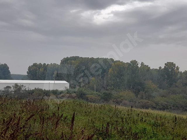 SAKARYADA TAKASA AÇIK VİLLALIK ARSA - Görsel 7