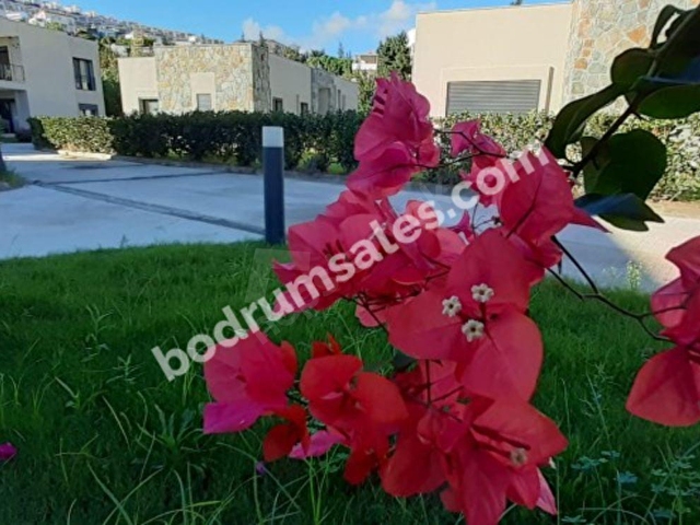 Bodrum Akyarlar Da Satilik 3 1 Sifir Bahceli Tek Katli Mustakil 114906 94 Hurriyet Emlak