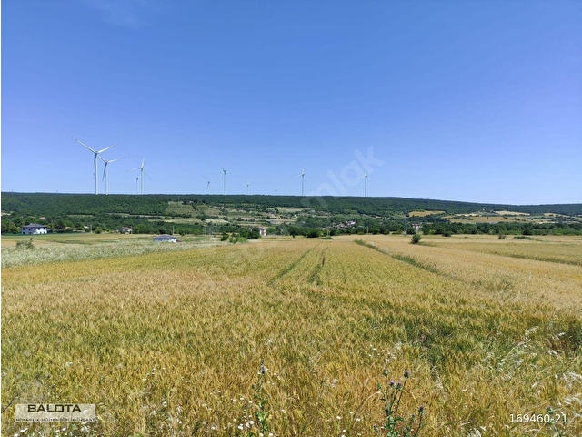 EVRENCİK te KONUT ALANI İÇERİSİNDE 2674 m2 ARSA - Görsel 8