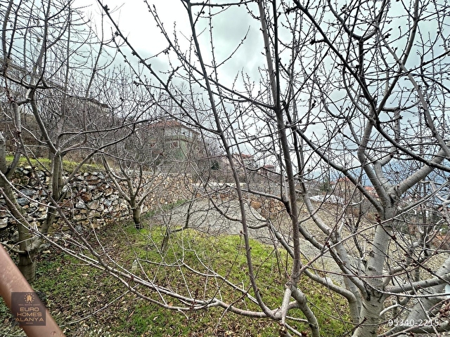 ALANYA GEDEVETDE SATILIK 526M2 YOLA SIFIR MASRAFSIZ TARLA - Görsel 18