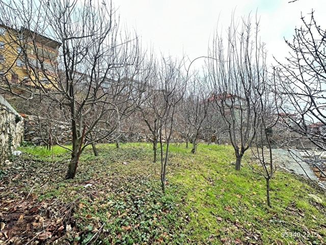 ALANYA GEDEVETDE SATILIK 526M2 YOLA SIFIR MASRAFSIZ TARLA - Görsel 5