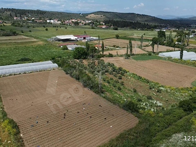ÖN EMLAKTAN BURHANİYE ŞAHİNLERDE 4.784 M2 SATILIK TARLA! - Görsel 24