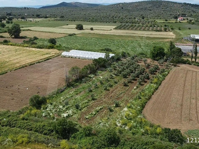ÖN EMLAKTAN BURHANİYE ŞAHİNLERDE 4.784 M2 SATILIK TARLA! - Görsel 22