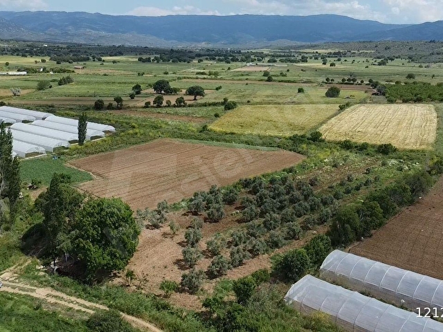 ÖN EMLAKTAN BURHANİYE ŞAHİNLERDE 4.784 M2 SATILIK TARLA! - Görsel 2