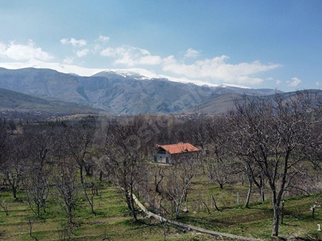 AYBARS GAYRİMENKULDEN SATILIK BAHÇE - Görsel 3