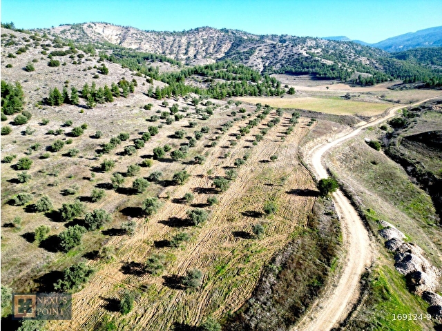 Nexus Pointten Haytabeyde Satılık Tarla - Görsel 10