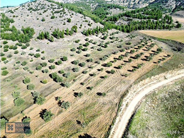 Nexus Pointten Haytabeyde Satılık Tarla - Görsel 9