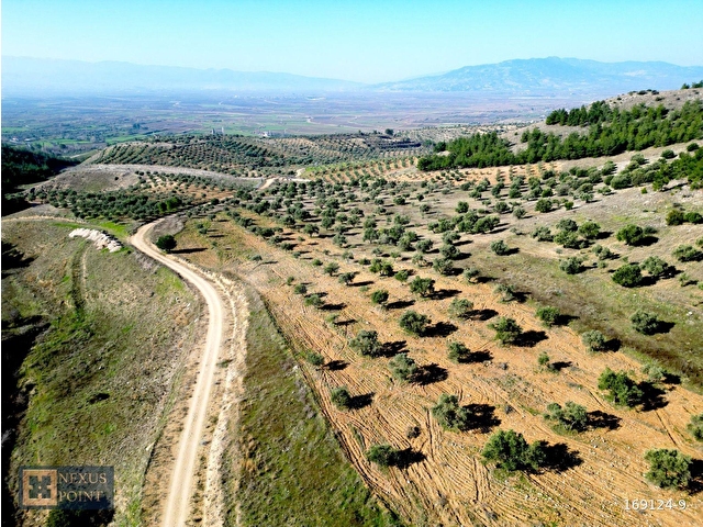 Nexus Pointten Haytabeyde Satılık Tarla - Görsel 16